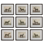Equine Dynasty Framed Prints Set/9