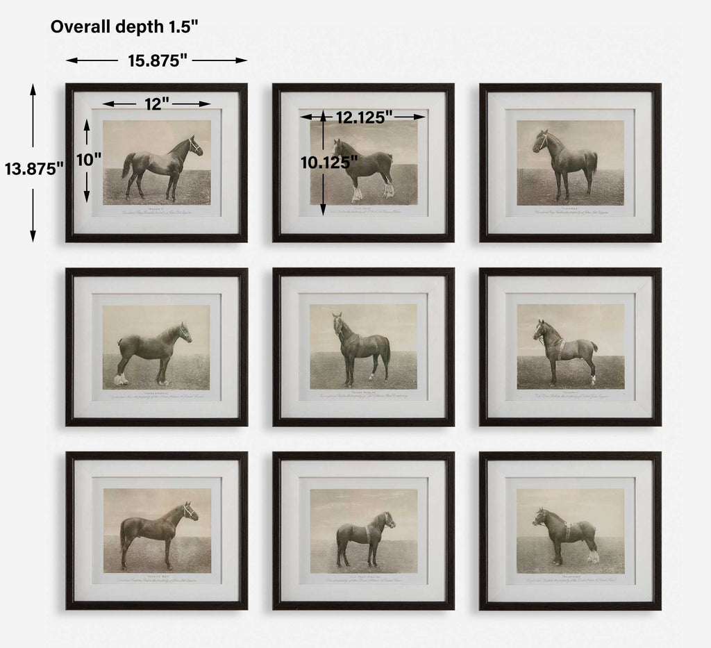 Equine Dynasty Framed Prints Set/9