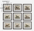 Equine Dynasty Framed Prints Set/9