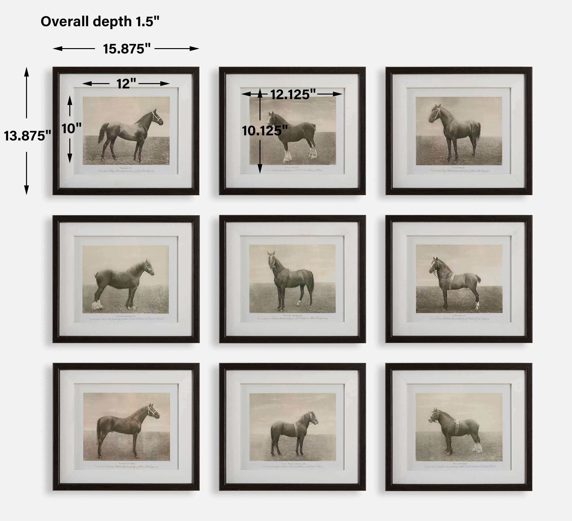 Equine Dynasty Framed Prints Set/9