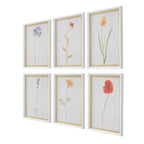 Wild Flourish Framed Floral Prints Set/6