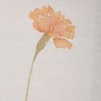 Wild Flourish Framed Floral Prints Set/6