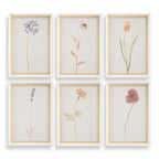 Wild Flourish Framed Floral Prints Set/6