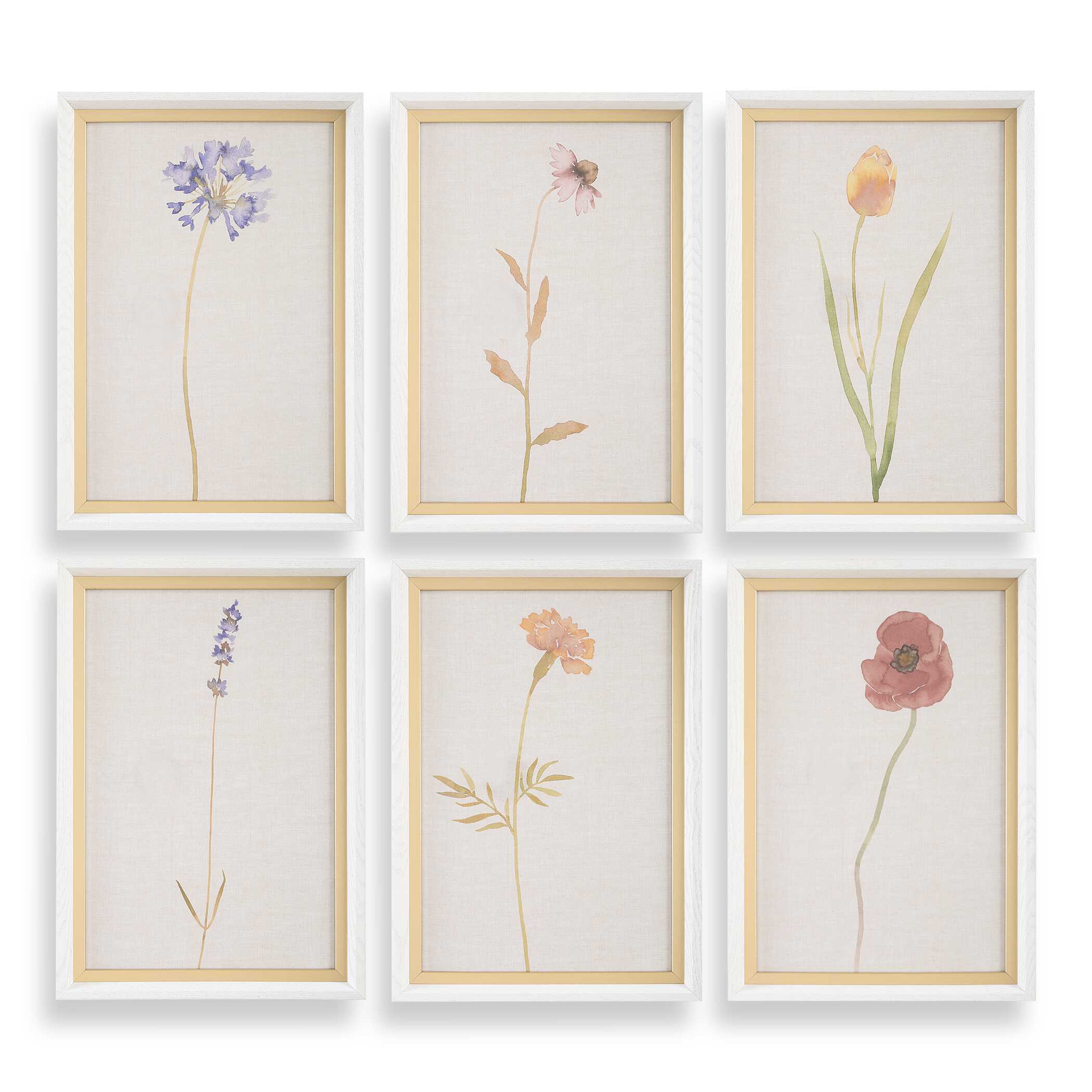 Wild Flourish Framed Floral Prints Set/6