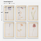 Wild Flourish Framed Floral Prints Set/6