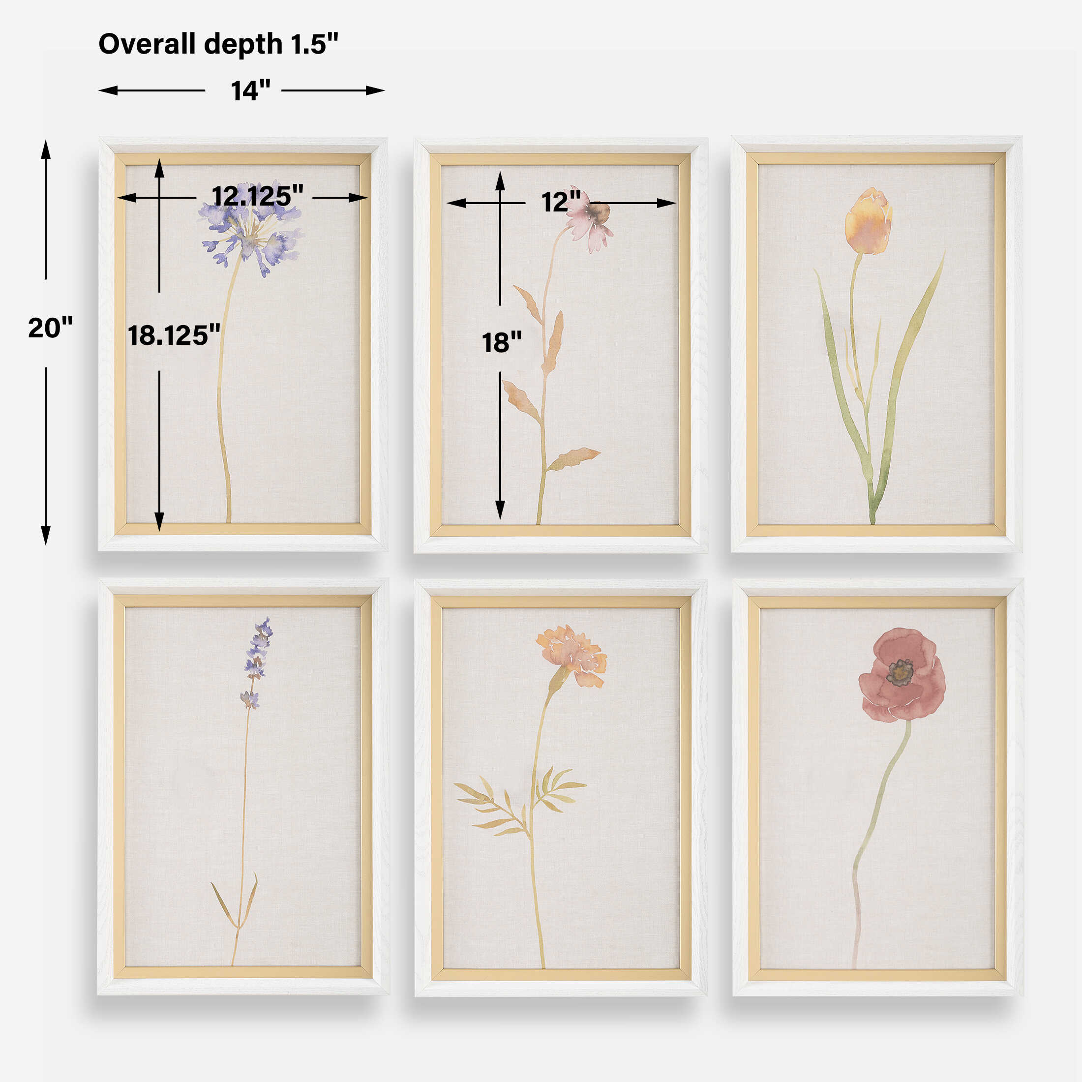 Wild Flourish Framed Floral Prints Set/6