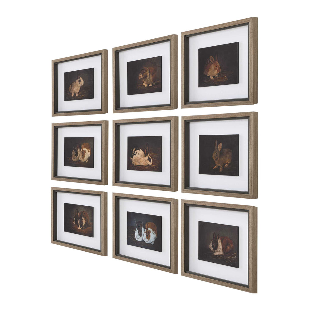 Resting Bunny Framed Prints Set/9