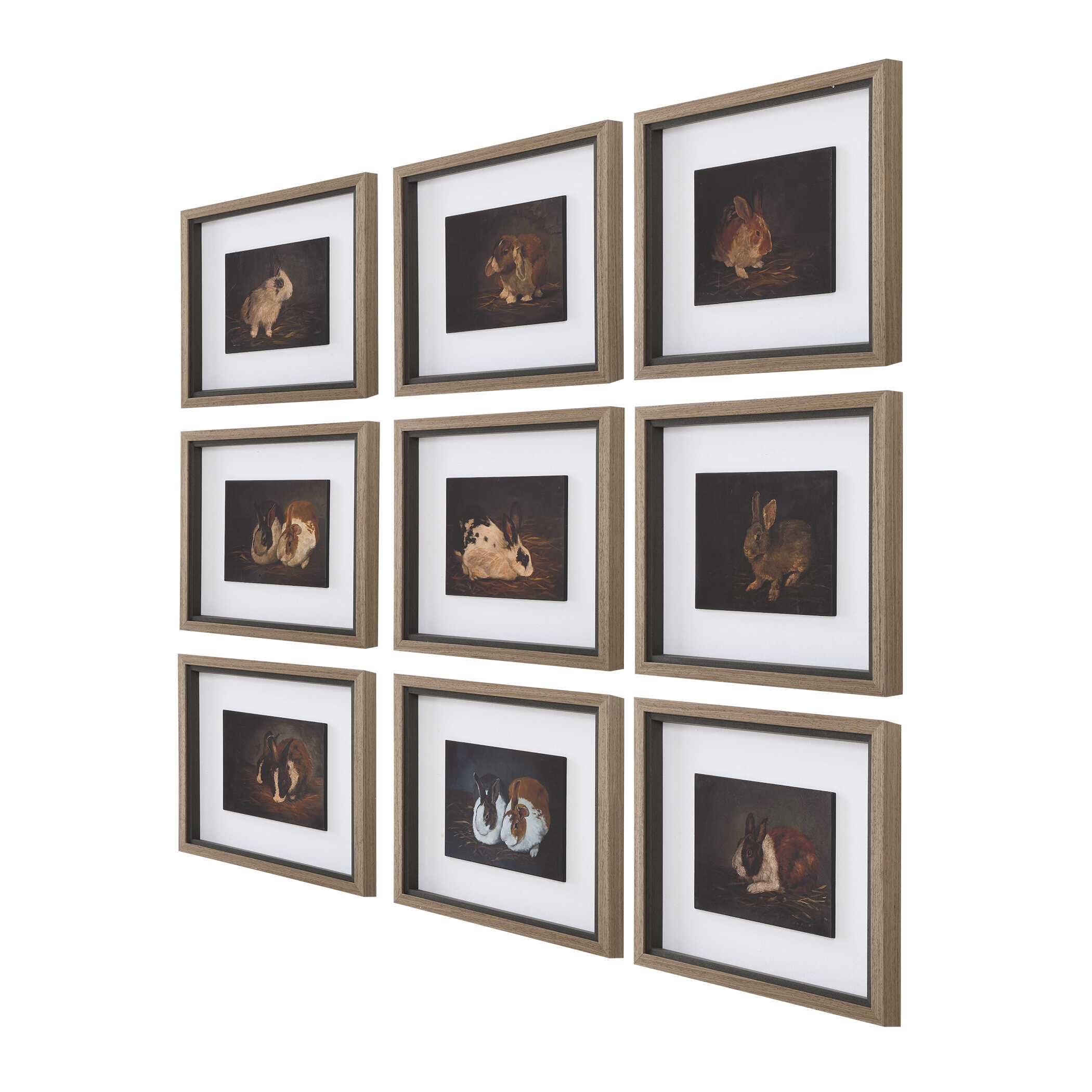 Resting Bunny Framed Prints Set/9