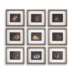 Resting Bunny Framed Prints Set/9