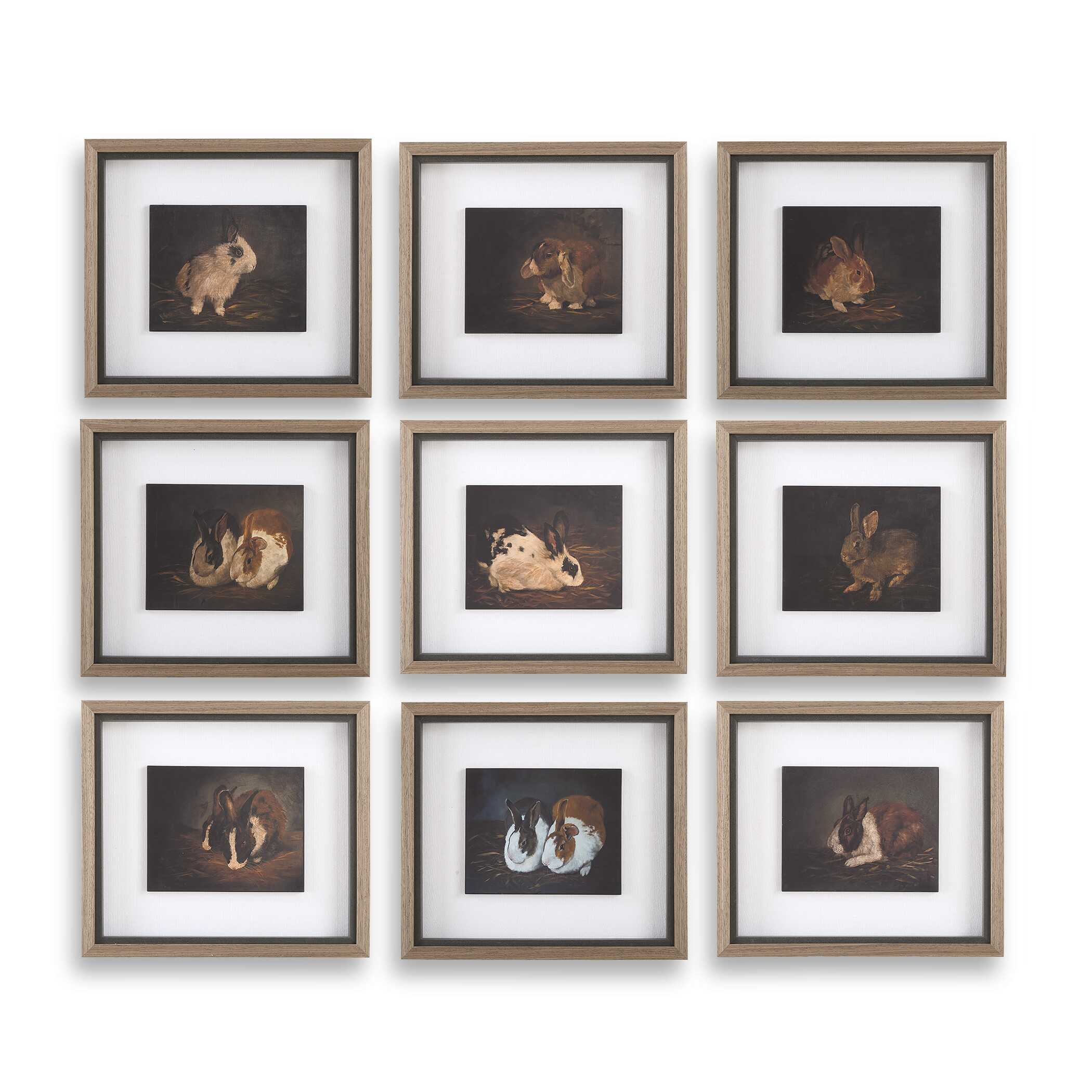 Resting Bunny Framed Prints Set/9