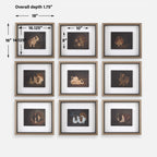 Resting Bunny Framed Prints Set/9