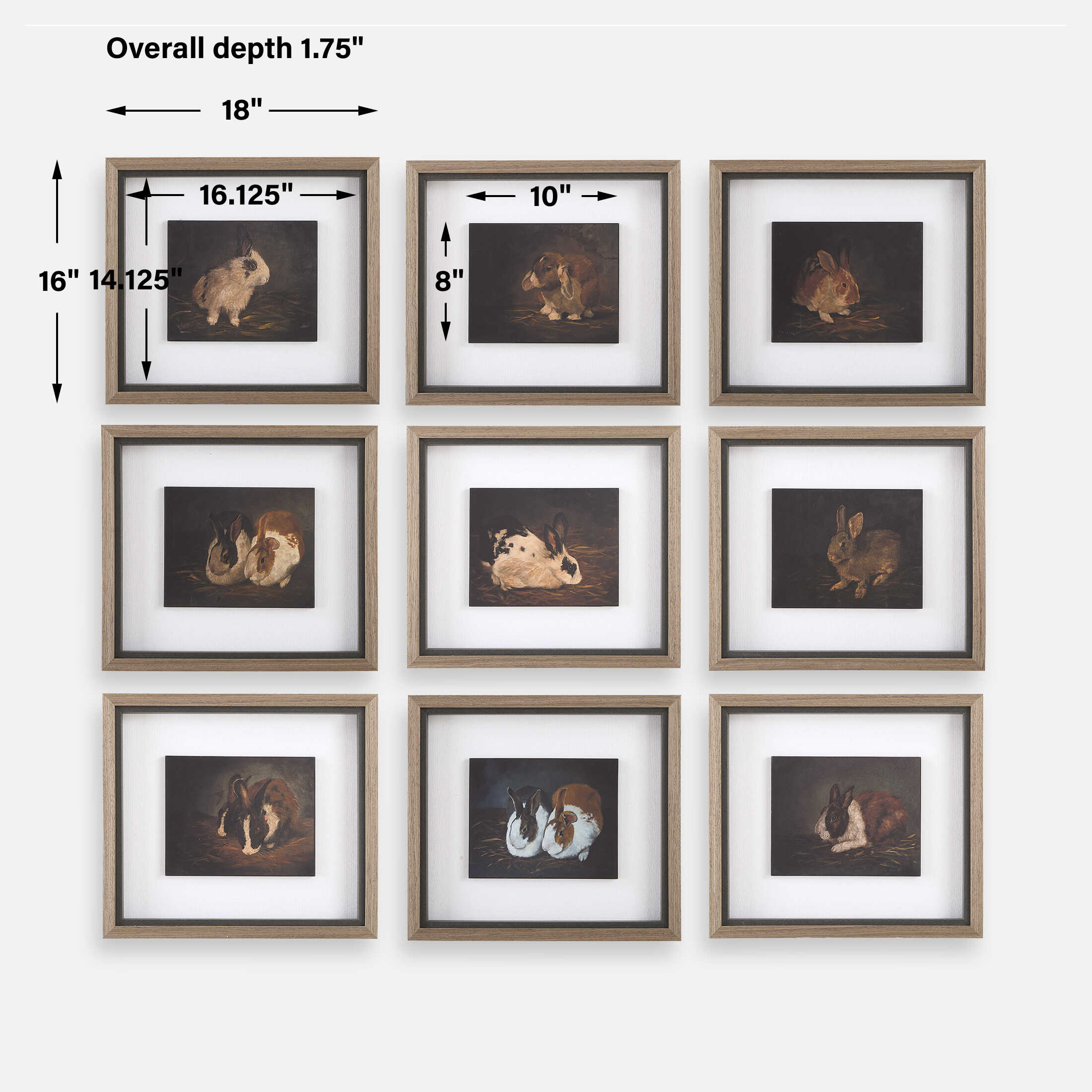 Resting Bunny Framed Prints Set/9