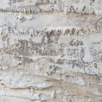 Desert Oasis Abstract Canvas Art