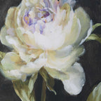 Florals On Black Framed Prints Set/4