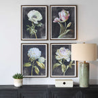 Florals On Black Framed Prints Set/4