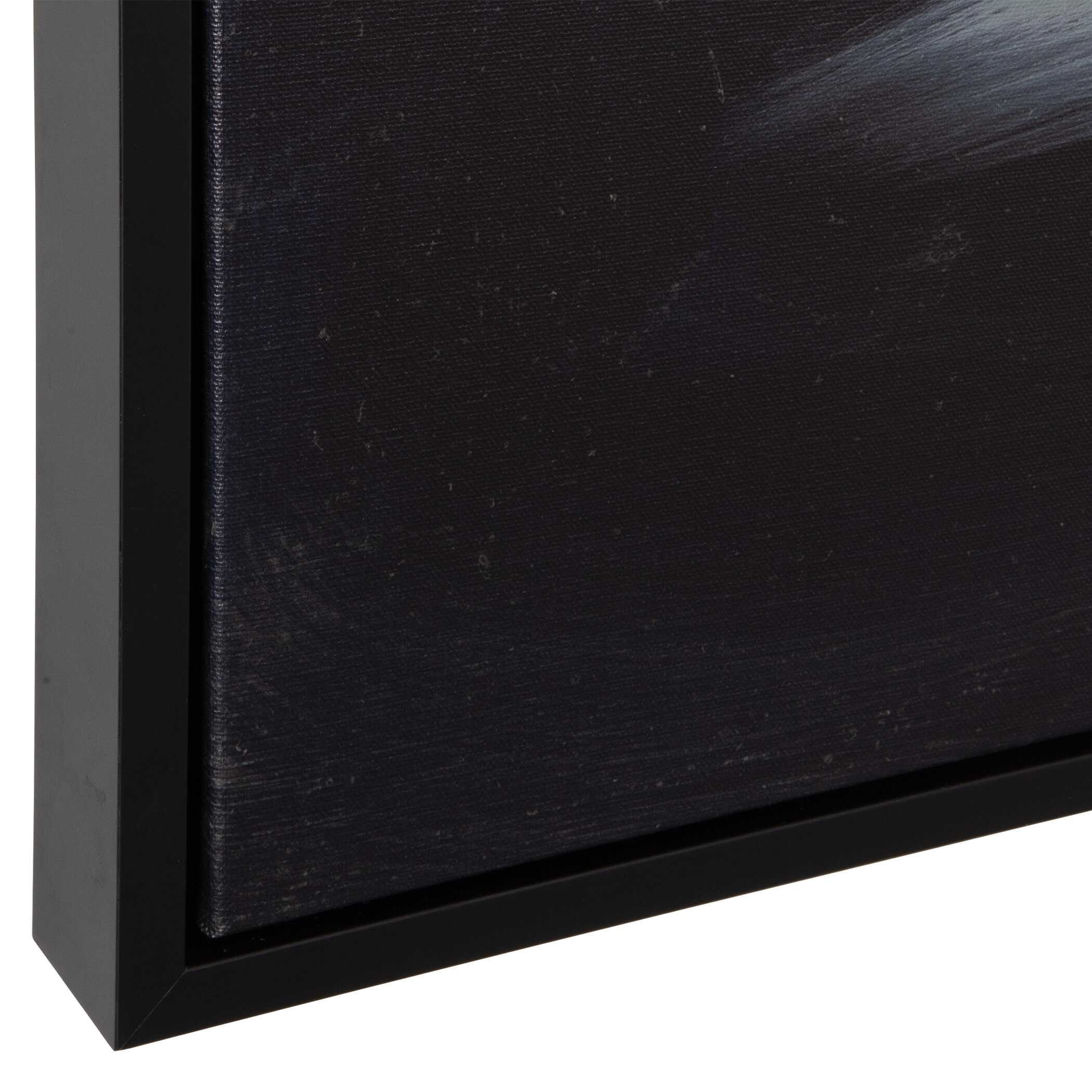 Peony Framed Floral Art