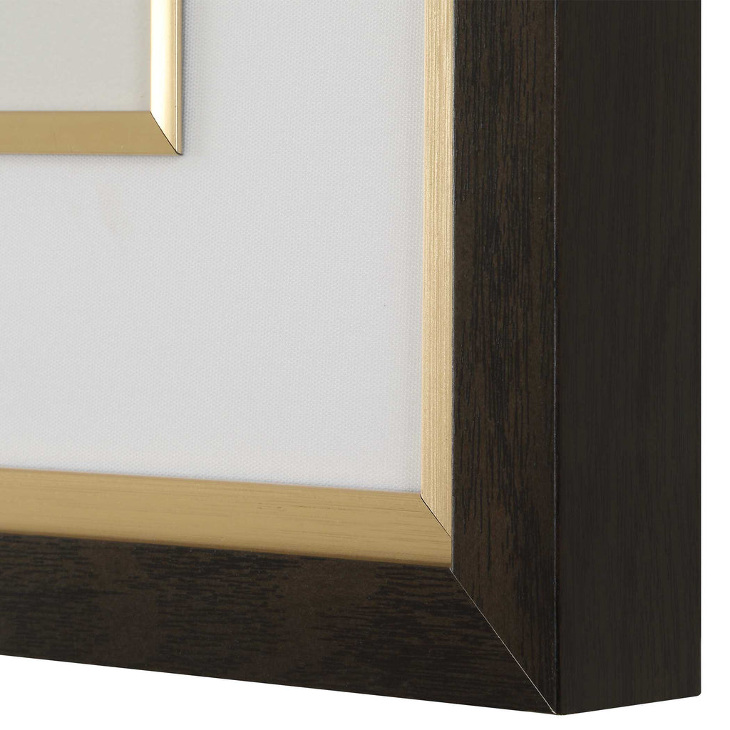 Orchid Botanical Framed Prints Set/6