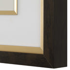 Orchid Botanical Framed Prints Set/6