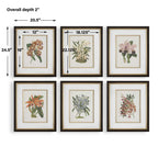 Orchid Botanical Framed Prints Set/6
