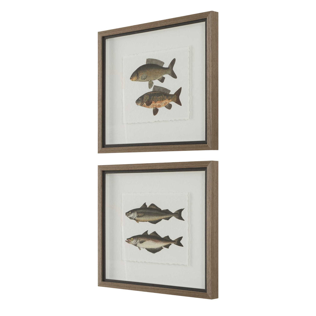 The Catch Framed Fish Prints Set/2
