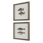 The Catch Framed Fish Prints Set/2