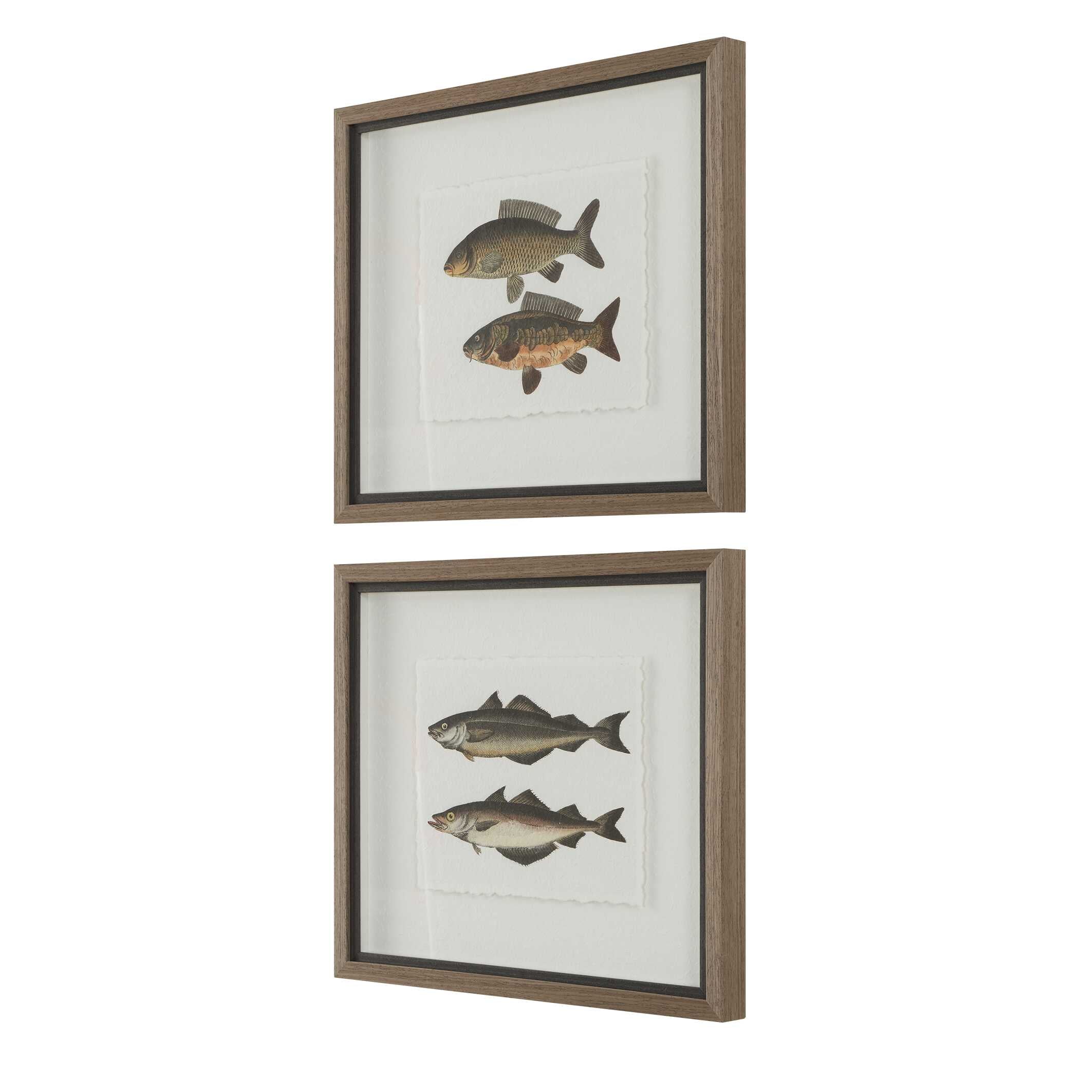 The Catch Framed Fish Prints Set/2