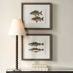 The Catch Framed Fish Prints Set/2
