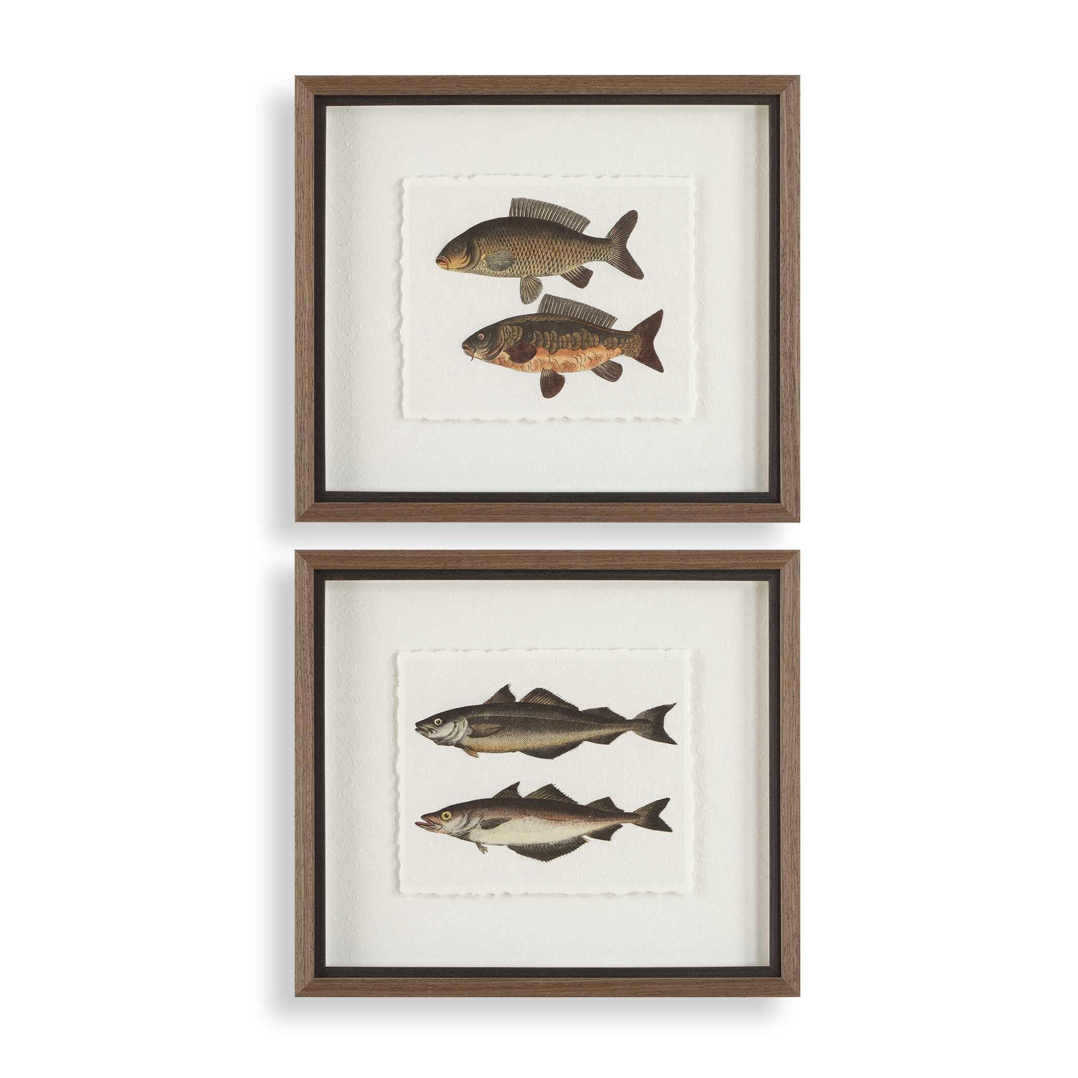 The Catch Framed Fish Prints Set/2