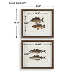 The Catch Framed Fish Prints Set/2