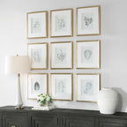 Nature's Script Framed Botanical Prints Set/9