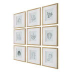 Nature's Script Framed Botanical Prints Set/9