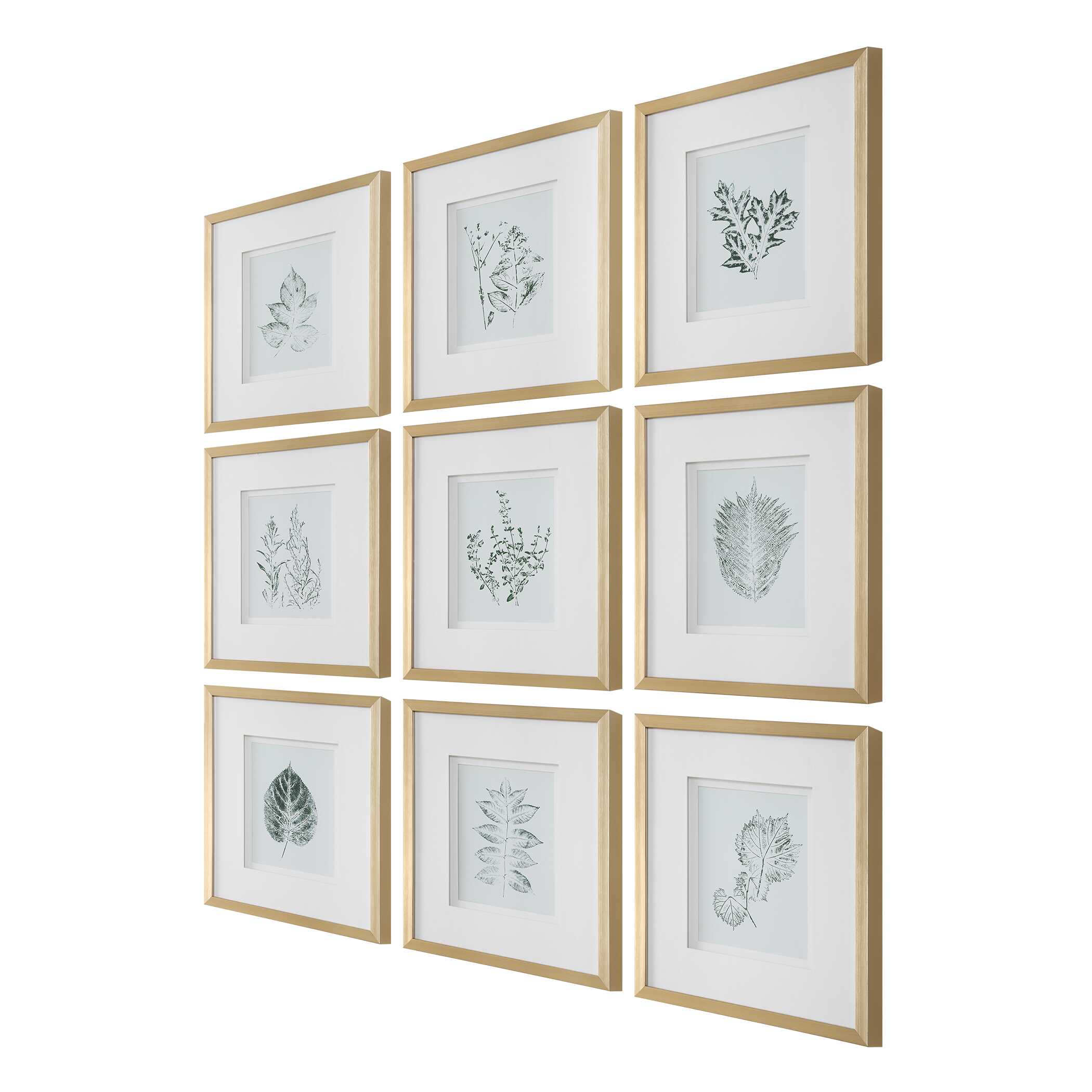 Nature's Script Framed Botanical Prints Set/9