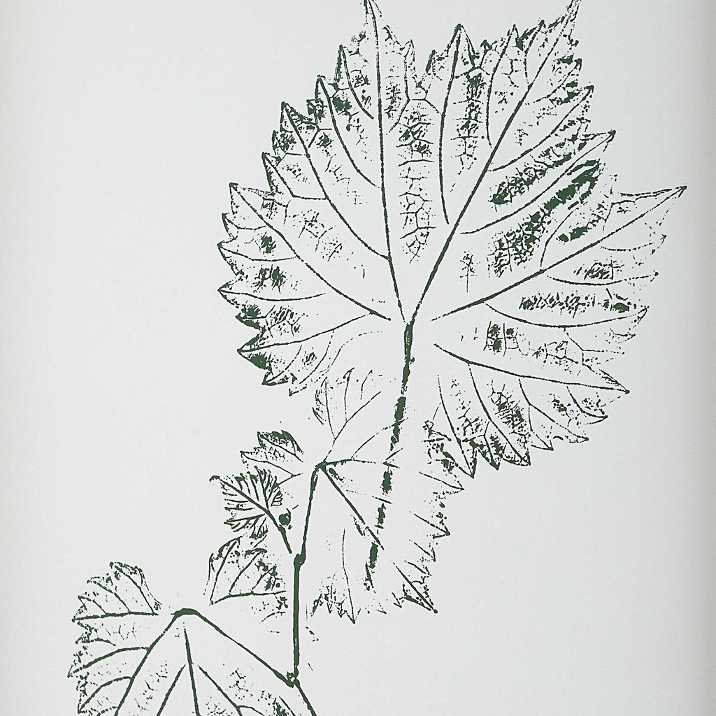 Nature's Script Framed Botanical Prints Set/9