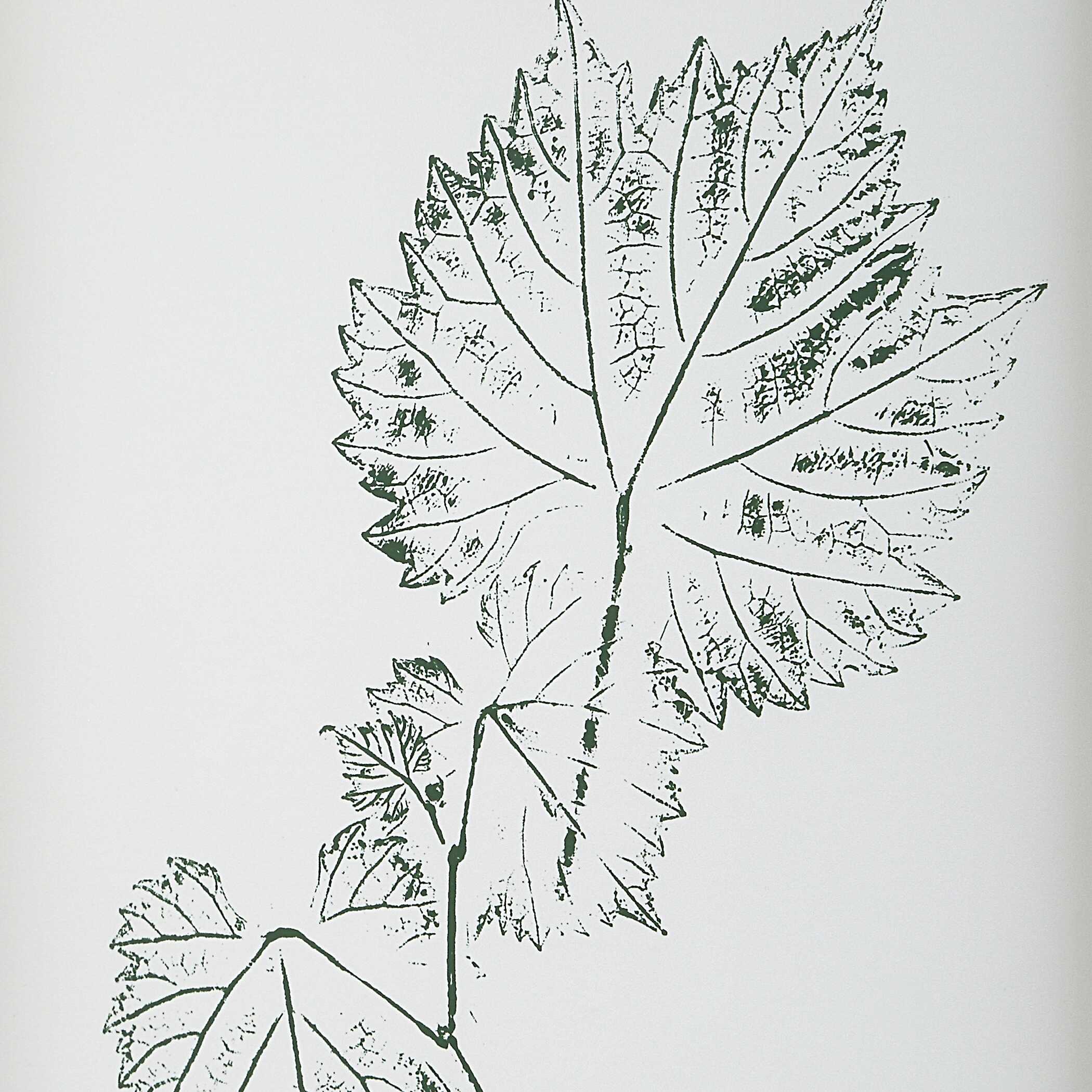 Nature's Script Framed Botanical Prints Set/9