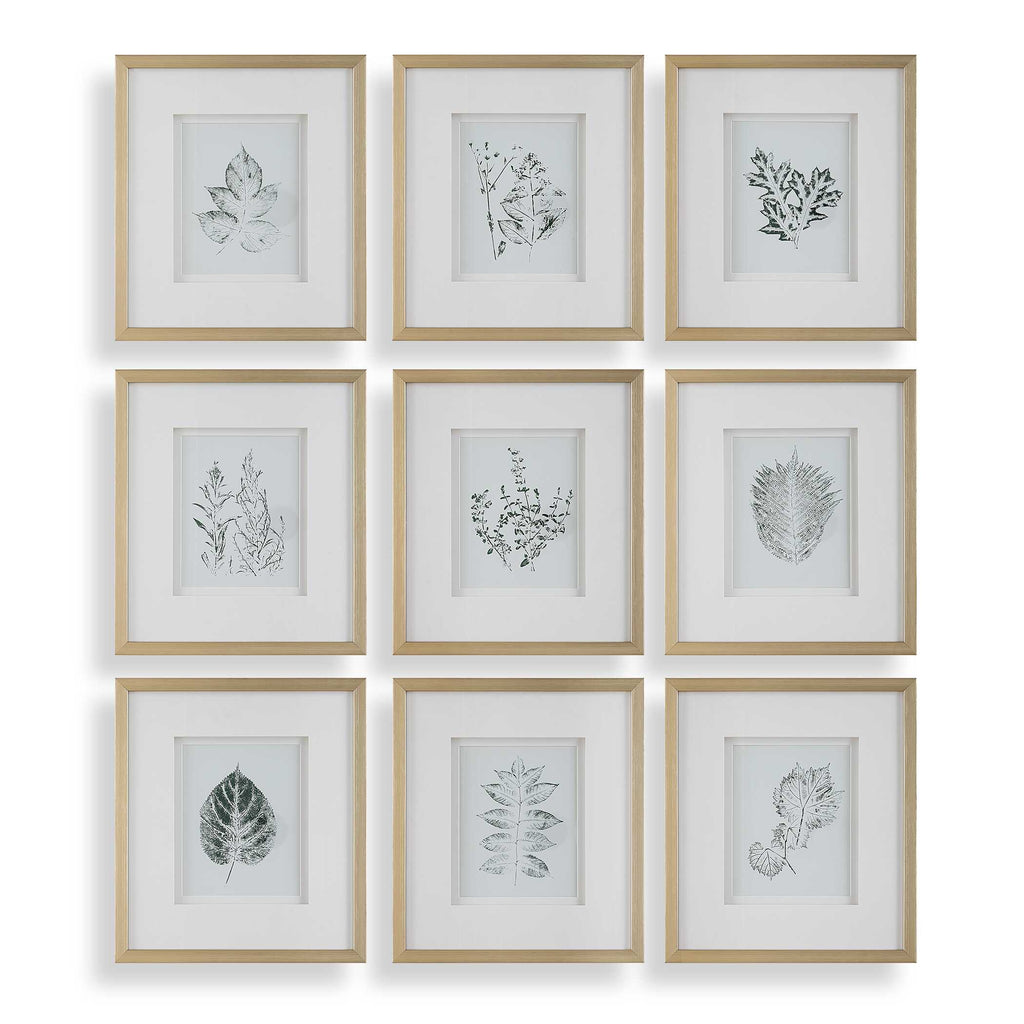 Nature's Script Framed Botanical Prints Set/9