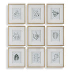 Nature's Script Framed Botanical Prints Set/9