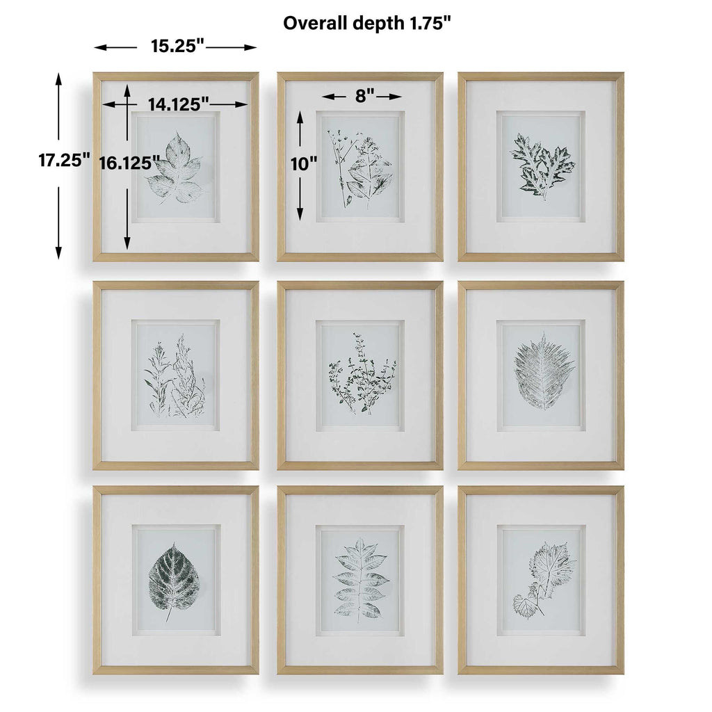 Nature's Script Framed Botanical Prints Set/9