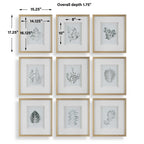 Nature's Script Framed Botanical Prints Set/9