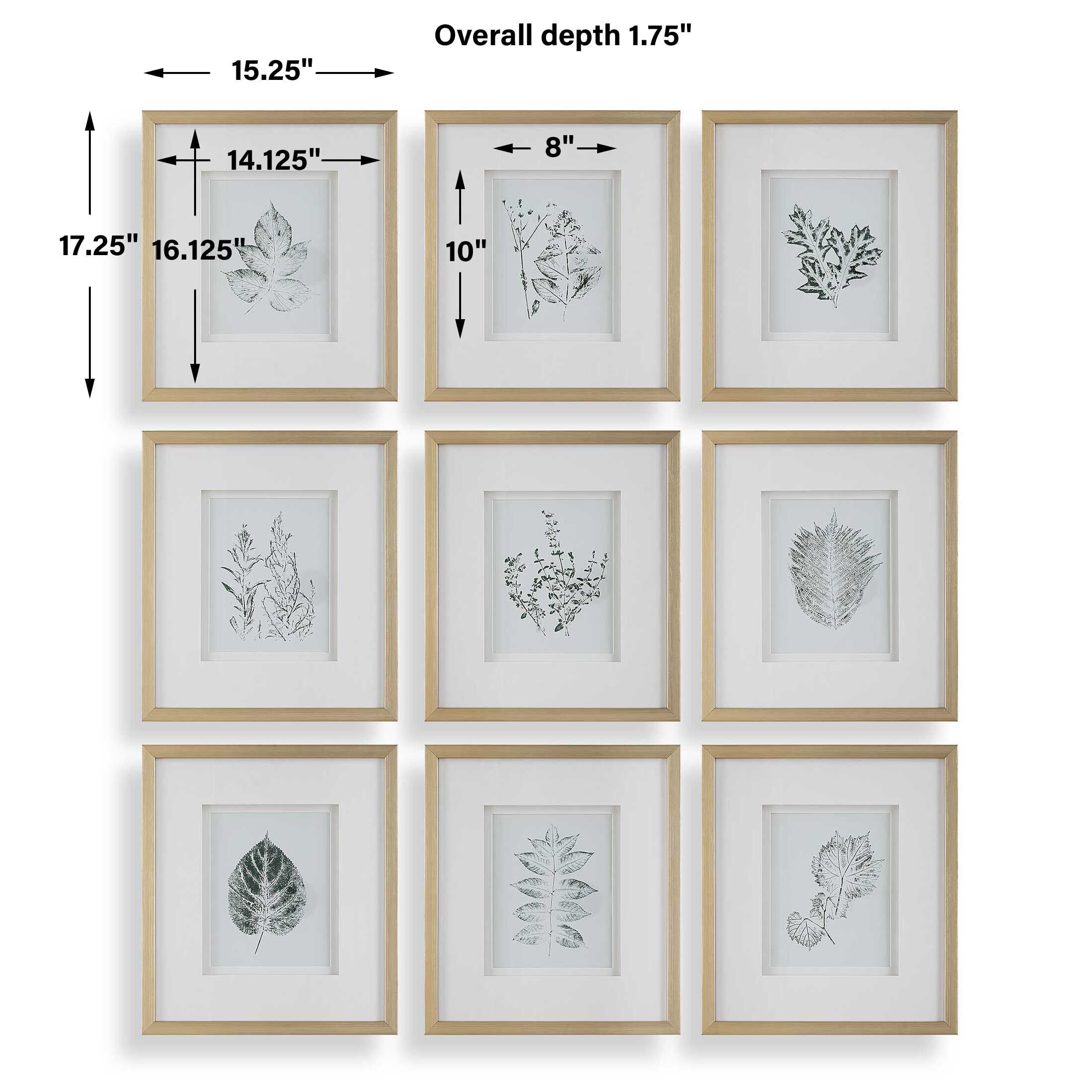 Nature's Script Framed Botanical Prints Set/9