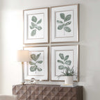 Fiddle Head Leaf Botanical Prints Set/4
