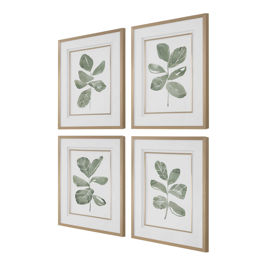 Fiddle Head Leaf Botanical Prints Set/4
