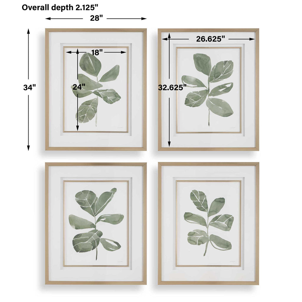 Fiddle Head Leaf Botanical Prints Set/4