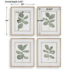 Fiddle Head Leaf Botanical Prints Set/4