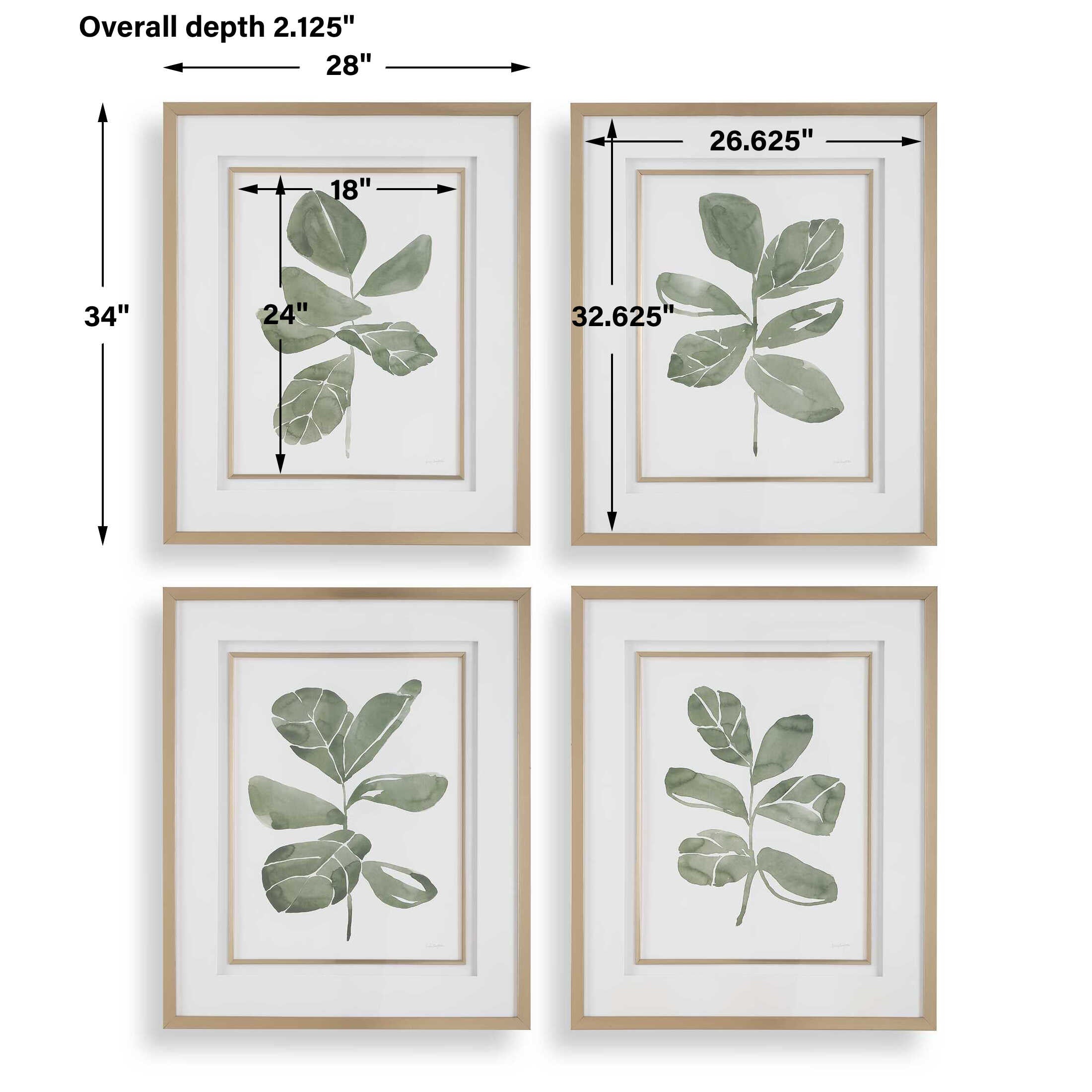 Fiddle Head Leaf Botanical Prints Set/4