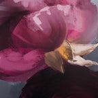 Plum Ranculus Framed Floral Art