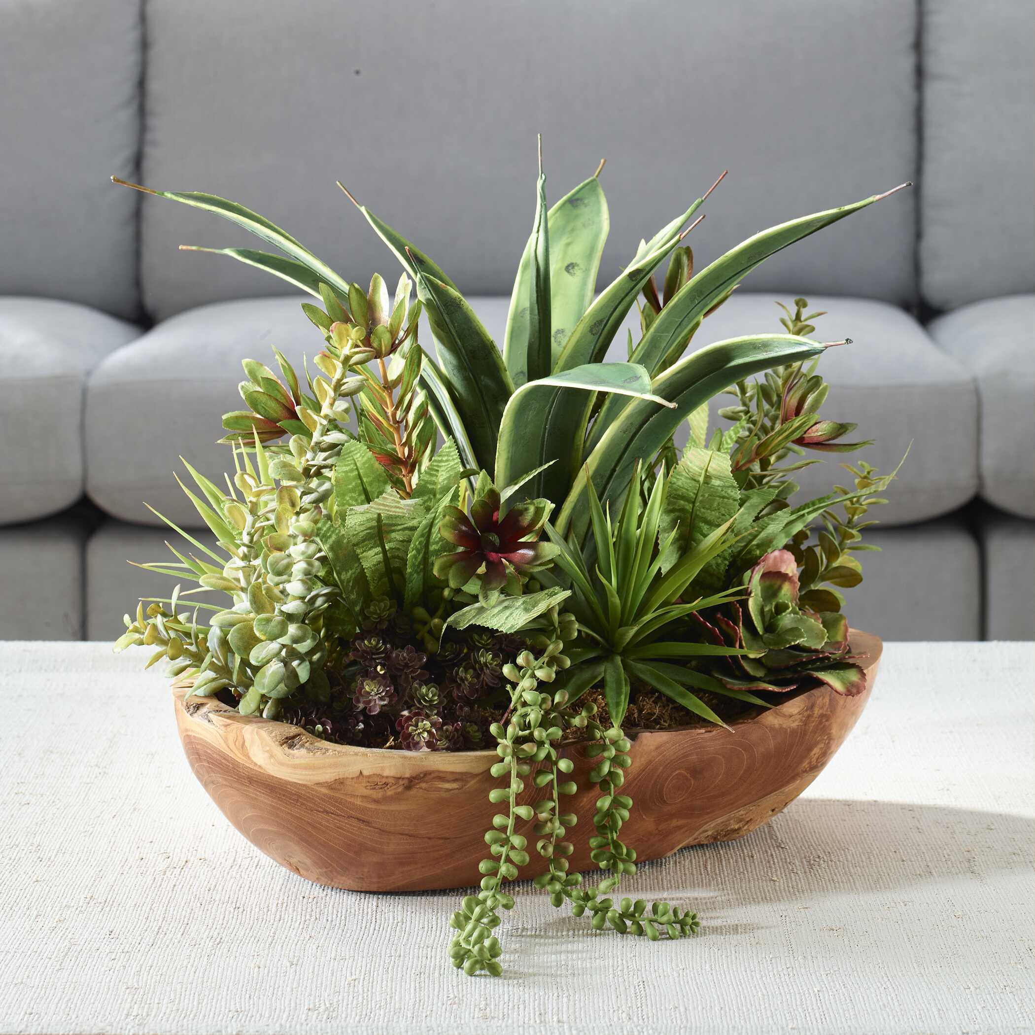 Salar Succulents In Teak Bowl