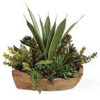 Salar Succulents In Teak Bowl