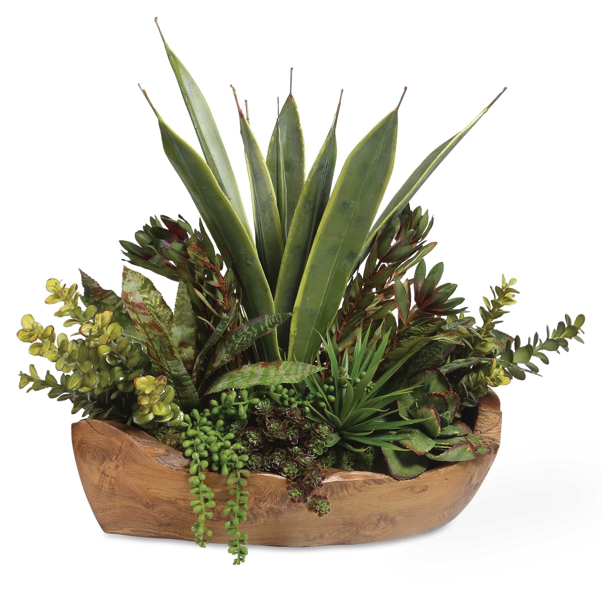 Salar Succulents In Teak Bowl