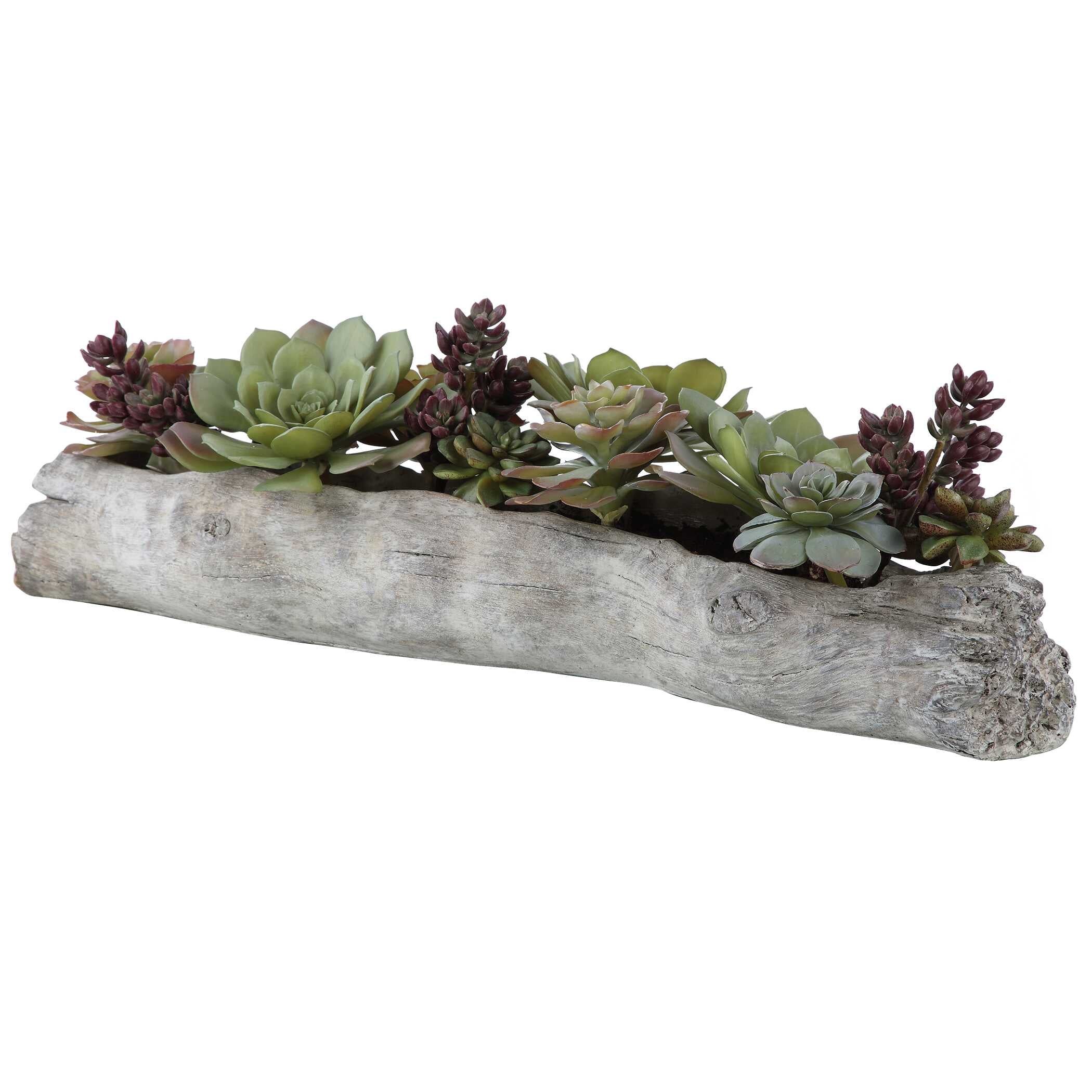 Charita Lush Succulents