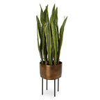 Fasita Brass Planter 2 Cartons